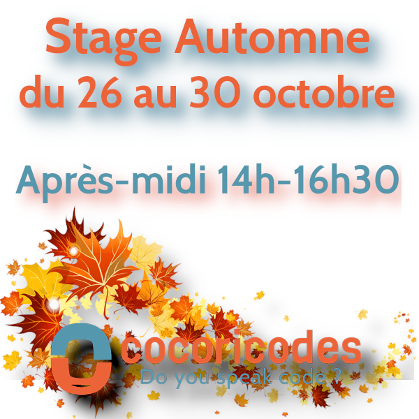 Stage automne du 26 au 30 octobre après-midi