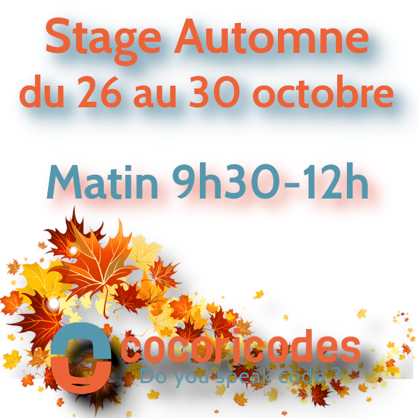 Stage automne du 26 au 30 octobre matin
