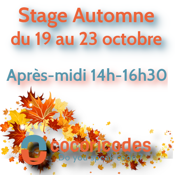 Stage automne du 19 au 23 octobre après-midi